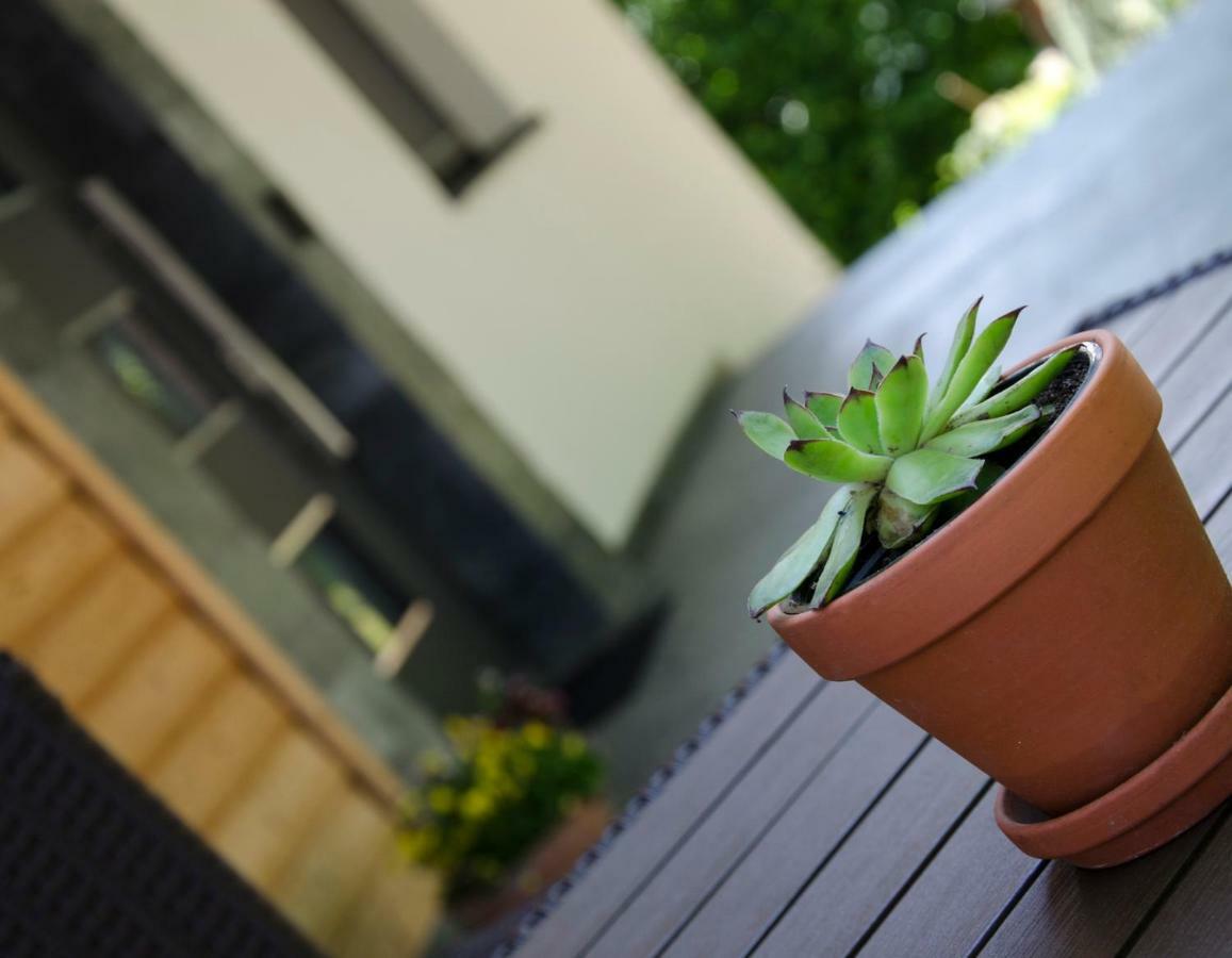 Apartmaji Rajska Ptica Блед Екстериор снимка